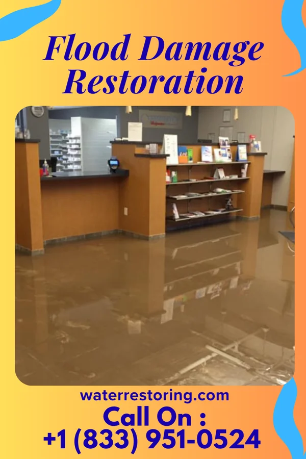 Flood Damage Restoration in Baconton, GA